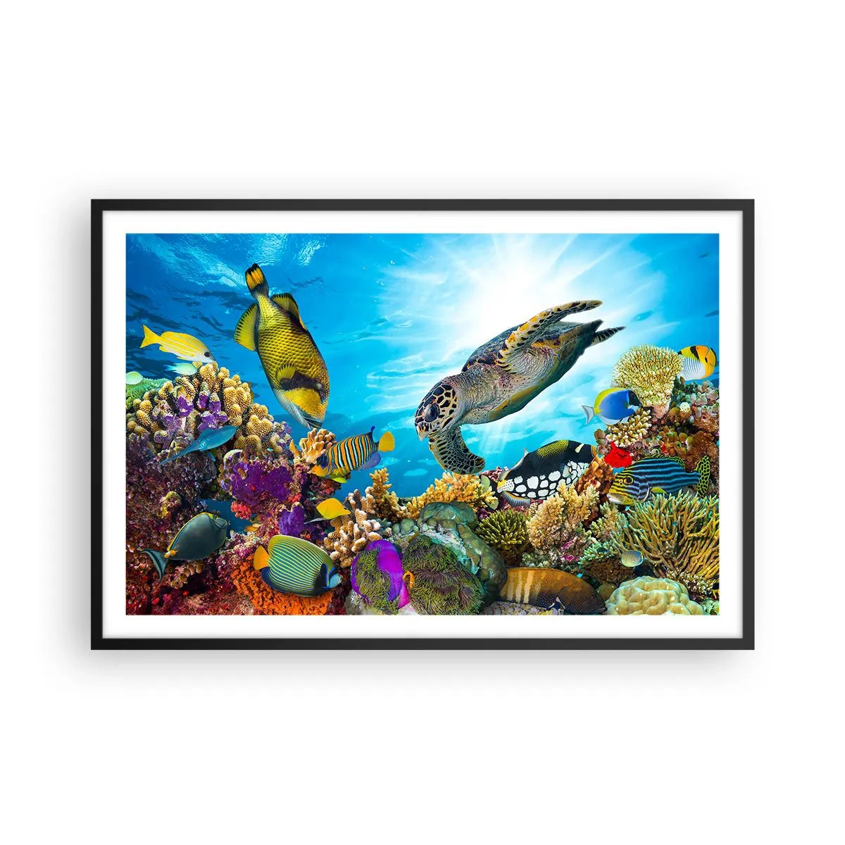 Poster in cornice nera - Passeggiata corallina - 91x61 cm
