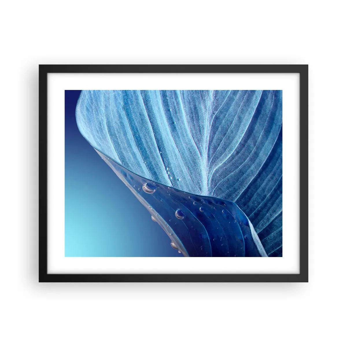 Poster in cornice nera - Gocce di blu nascoste - 50x40 cm