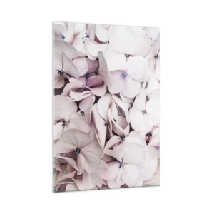 Quadro su vetro - Delicate ortensie rosa chiaro in primo piano - 50x70cm - Un'alluvione di fiori - Decorazione murale moderna per soggiorno e camera da letto ARTTOR