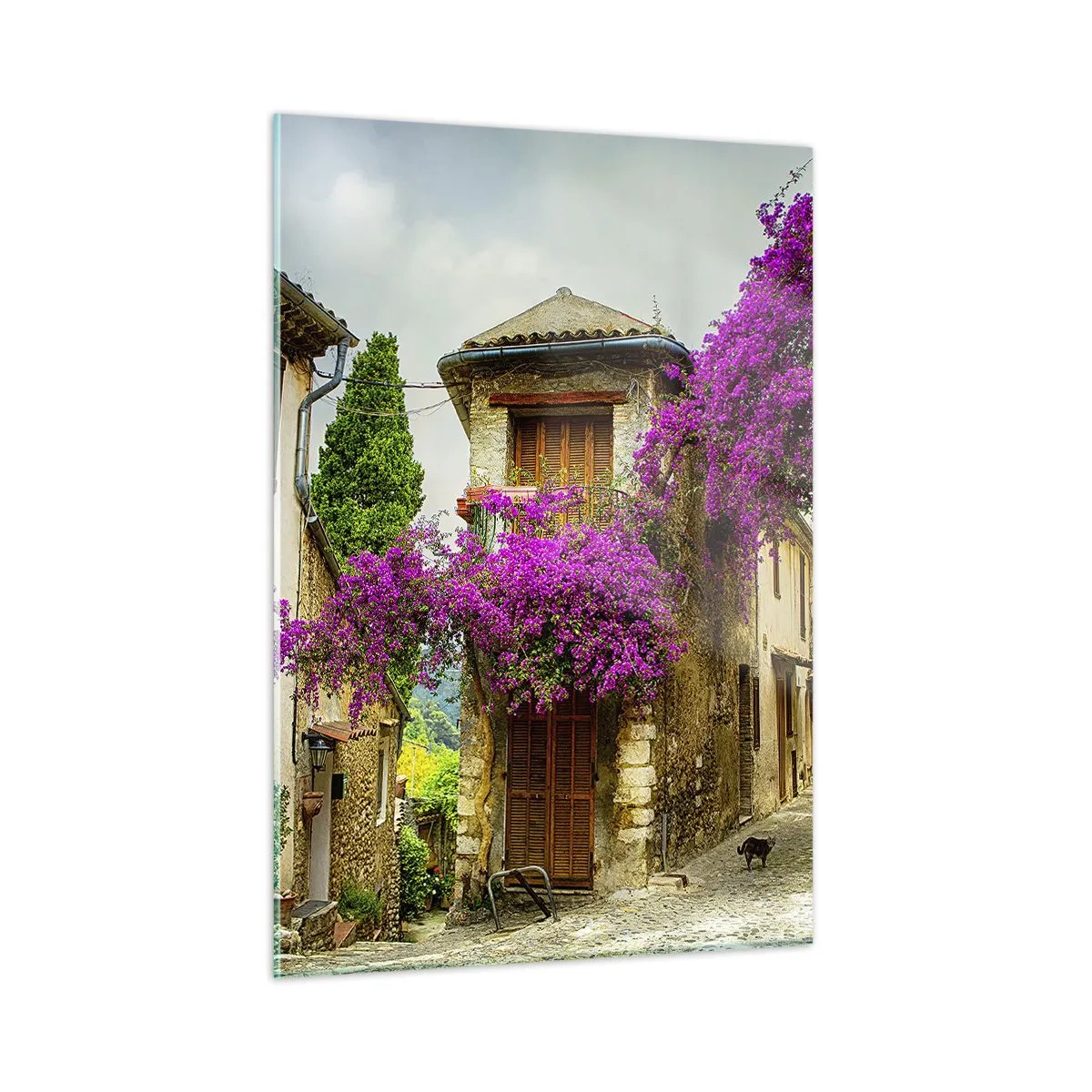 Quadro su vetro - Una strada affascinante con viti rosa in fiore e case popolari - 50x70cm - Sotto un baldacchino di fiori - Decorazione murale moderna per soggiorno e camera da letto ARTTOR