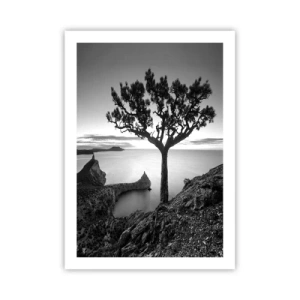 Poster - Paesaggio in bianco e nero con un albero solitario su una scogliera - 50x70cm - Pace fino all'orizzonte - Decorazione murale moderna per soggiorno e camera da letto ARTTOR