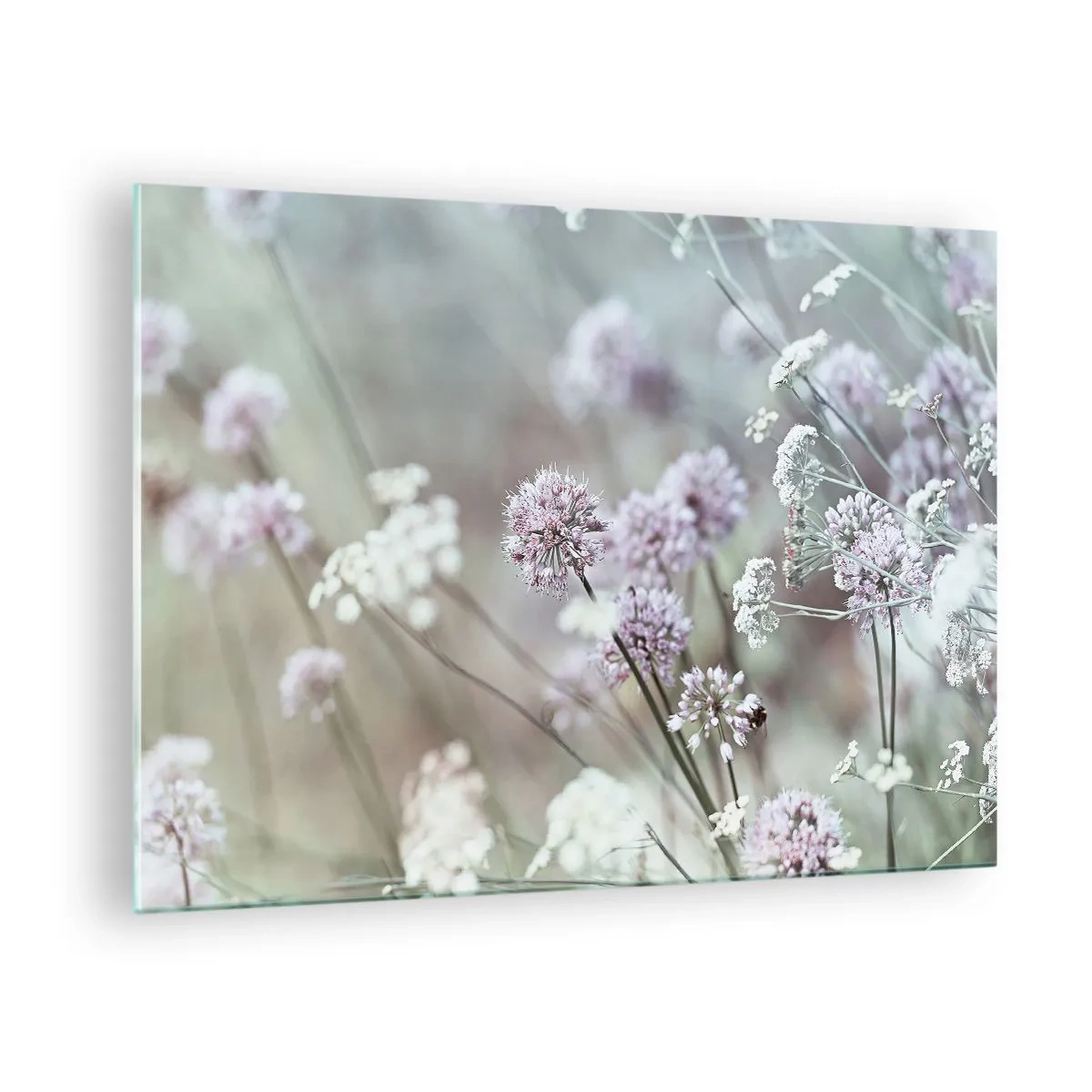 Quadro su vetro - Delicati fiori selvatici in tonalità pastello - 70x50cm - Le dolci filigrane delle erbe - Decorazione murale moderna per soggiorno e camera da letto ARTTOR