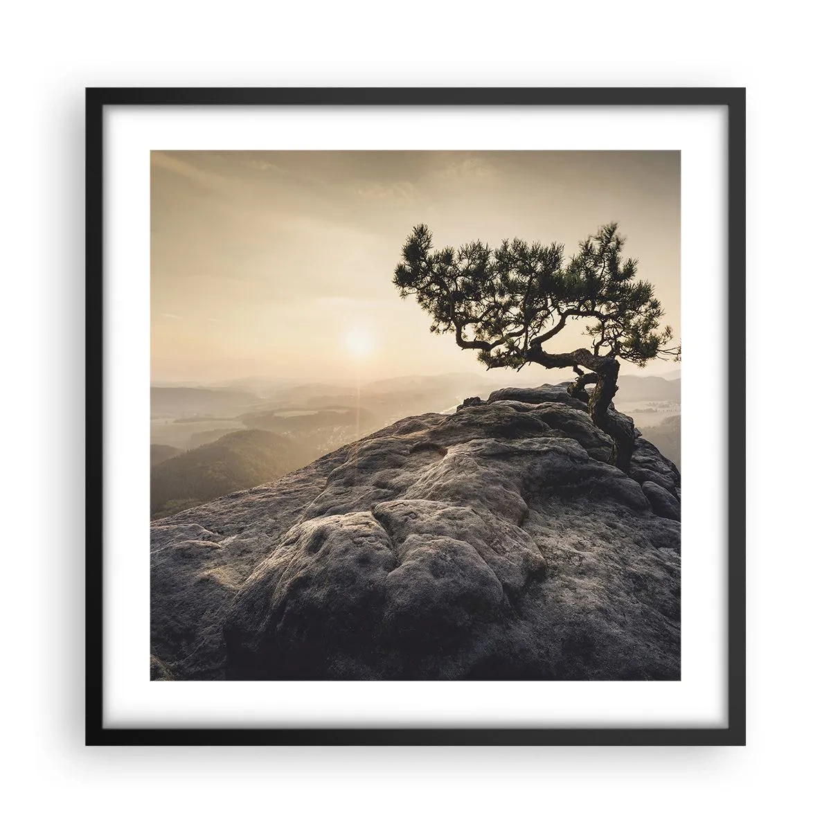 Poster in cornice nera - La vita vince sempre - 50x50 cm