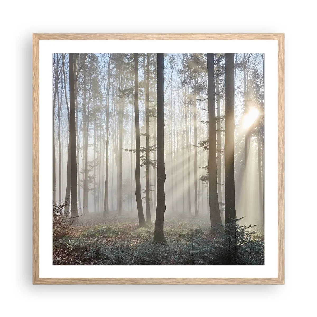 Poster in cornice rovere chiaro - Anche la nebbia si è svegliata - 60x60 cm