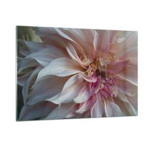 Quadro su vetro - Primo piano di un fiore rosa e crema con gocce d'acqua - 120x80cm - Freschezza in fiore - Decorazione murale moderna per soggiorno e camera da letto ARTTOR