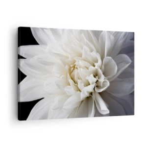 Quadro su tela - Stampe su Tela - Un delicato fiore bianco su sfondo nero in una composizione elegante - 70x50cm - Il mattino della sposa - Decorazione murale moderna per soggiorno e camera da letto ARTTOR