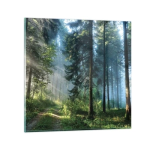 Quadro su vetro - Raggiante all'alba - 30x30 cm