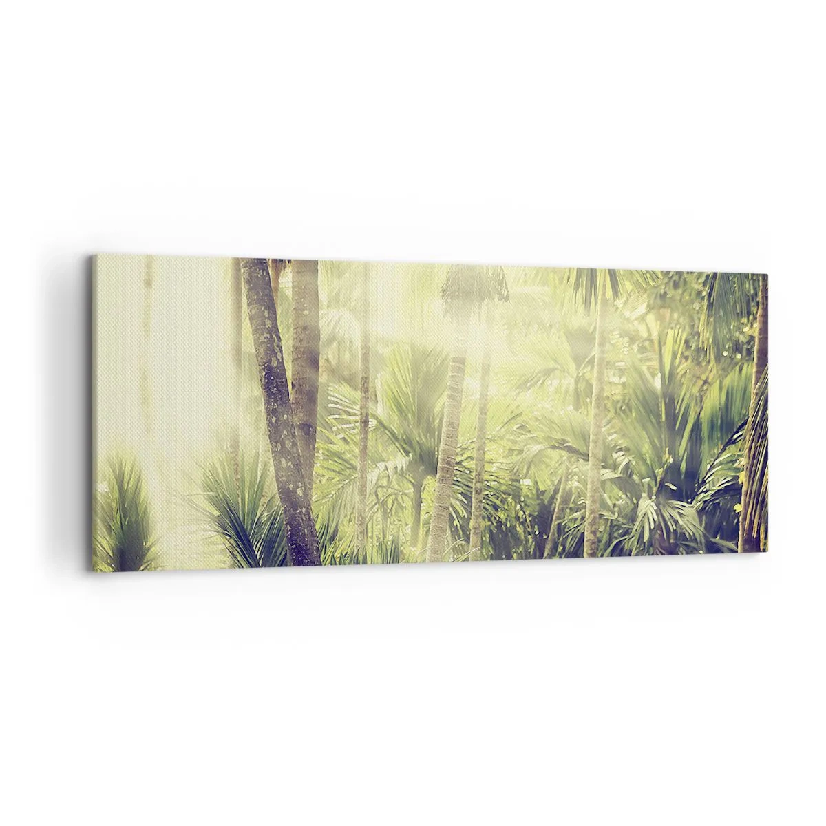 Quadro su tela - Stampe su Tela - Raggi di sole in una foresta tropicale di palme - 120x50cm - Nell'afa verde - Decorazione murale moderna per soggiorno e camera da letto ARTTOR