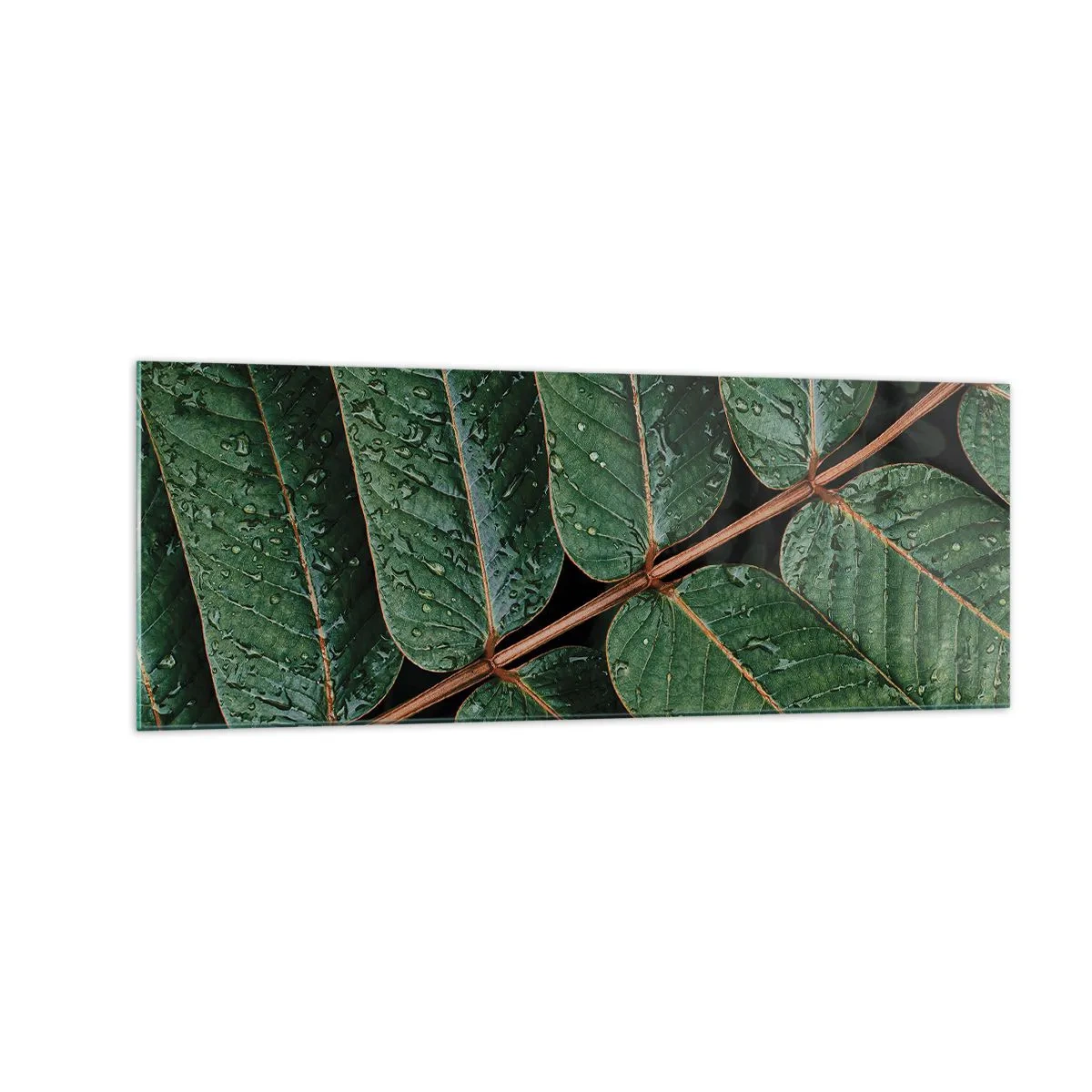 Quadro su vetro - Macro di foglie verdi con gocce di rugiada - 140x50cm - Al ritmo verde - Decorazione murale moderna per soggiorno e camera da letto ARTTOR