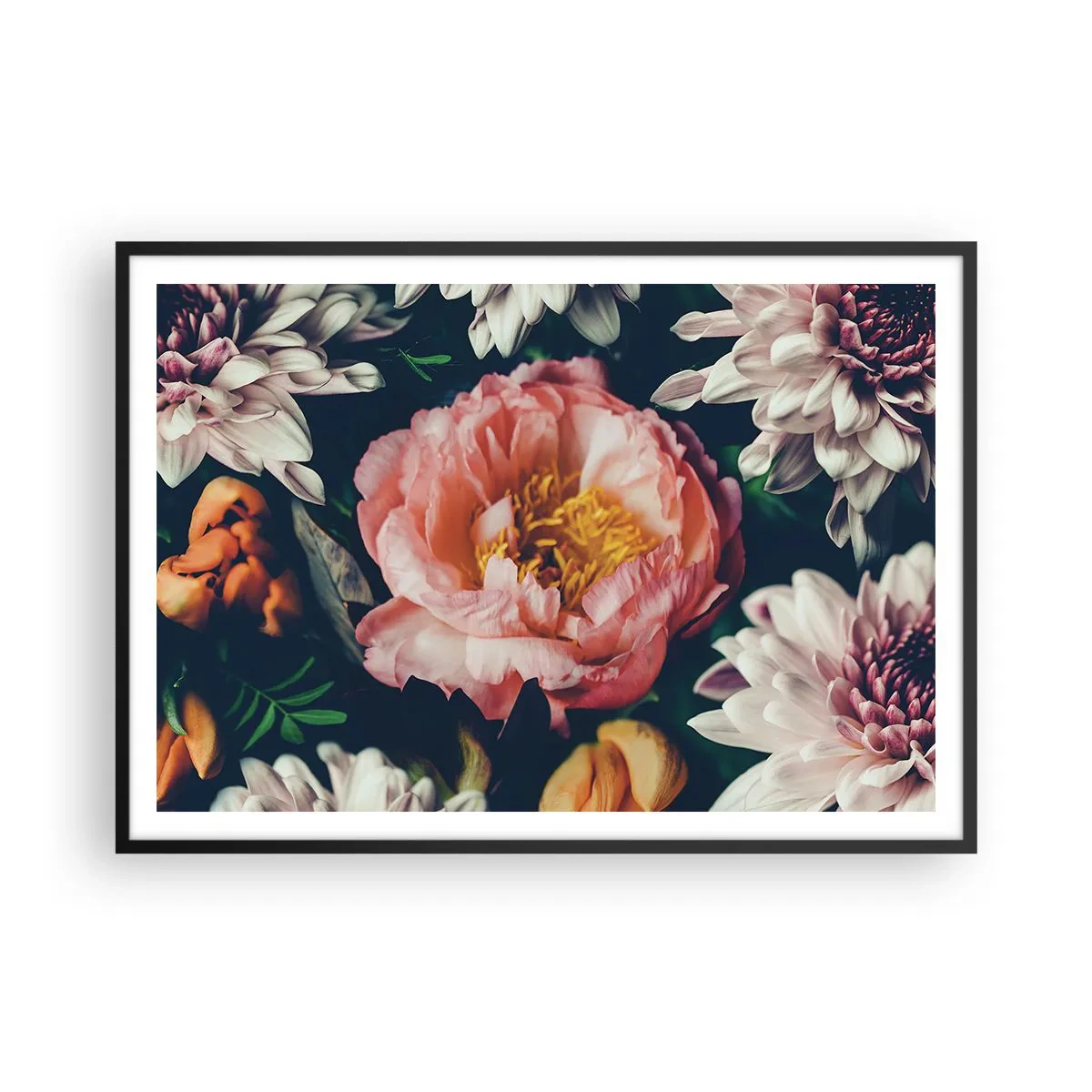 Poster in cornice nera - Composizione floreale con peonia e crisantemi su sfondo scuro - 100x70cm - Con fasto barocco - Decorazione murale moderna per soggiorno e camera da letto ARTTOR