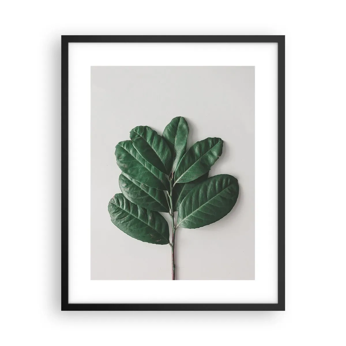 Poster in cornice nera - Il disegno della natura stessa - 40x50 cm