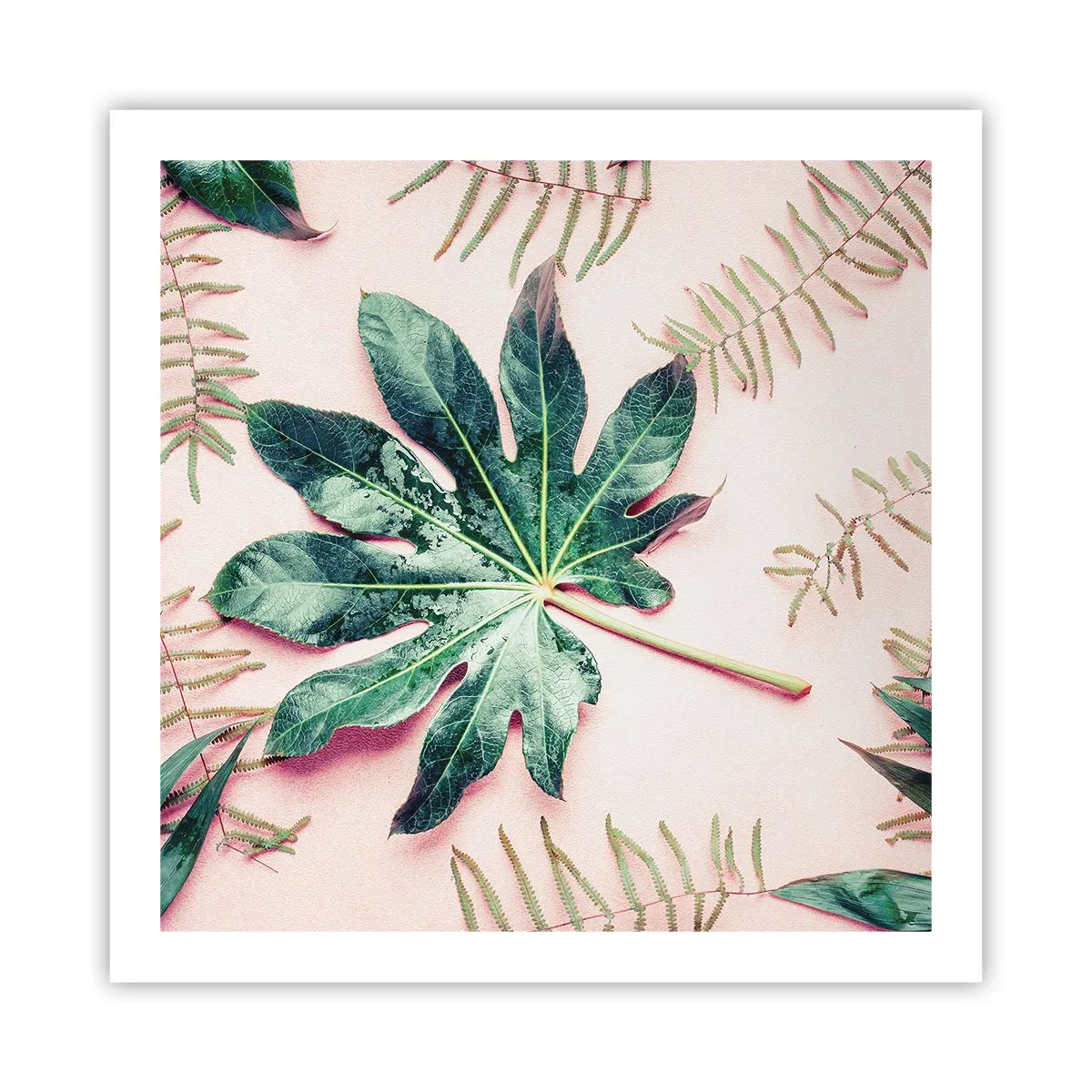 Poster - Studio di verde su sfondo rosa - 60x60 cm