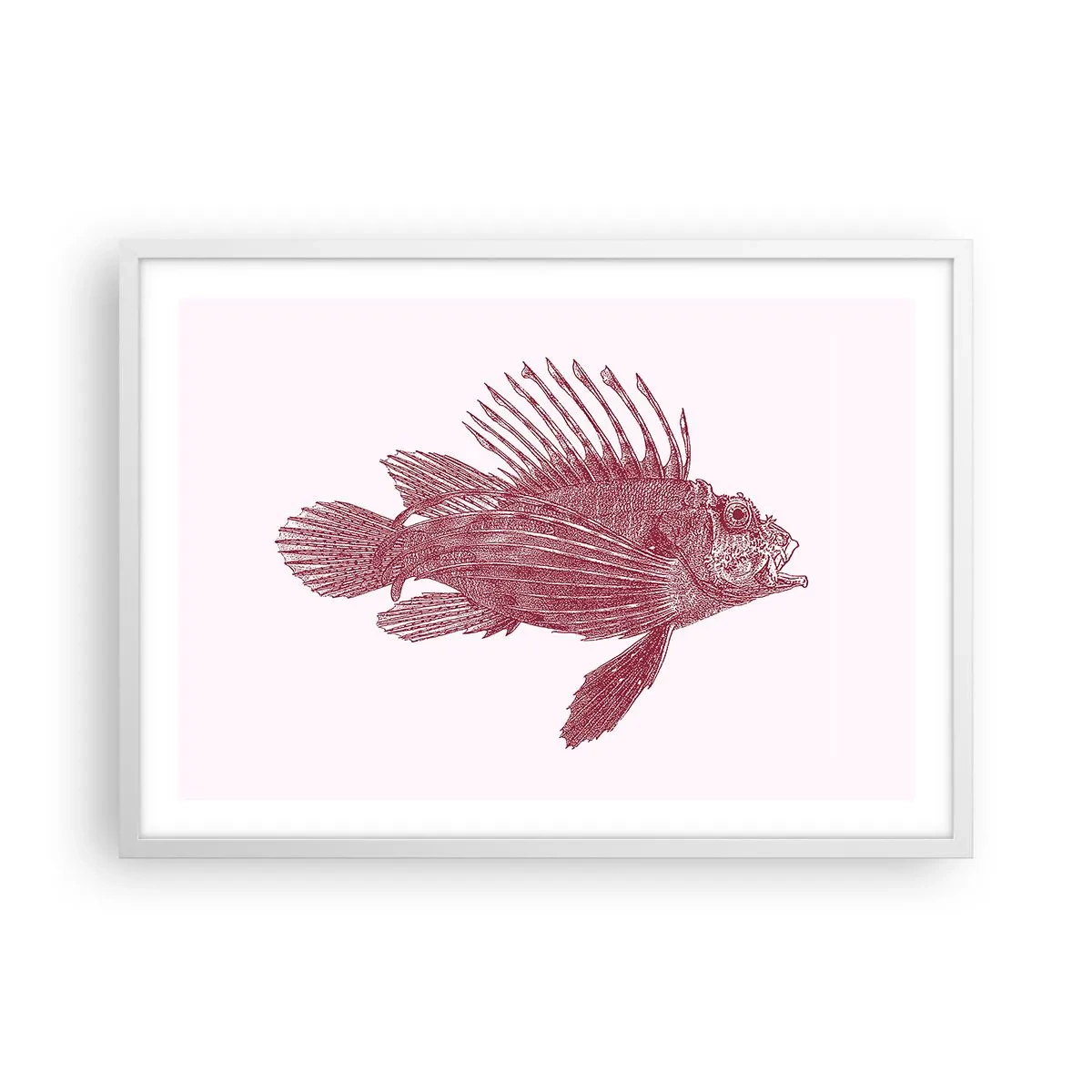 Poster in cornice bianca - Abitante di mari esotici - 70x50 cm