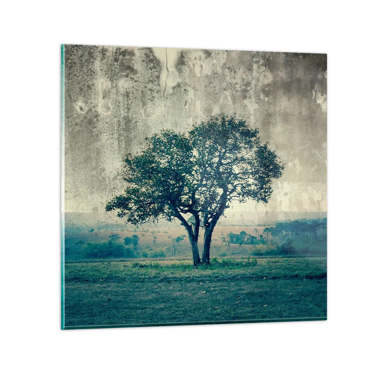 Quadro su vetro - Un melo su un prato blu? - 50x50 cm