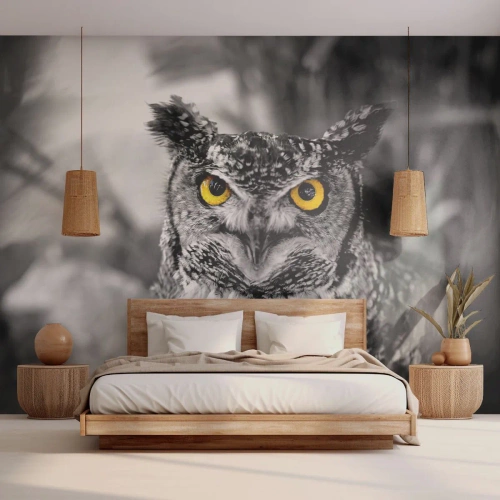 Fotomurali Premium Sand - Un gufo bianco e nero con intensi occhi gialli - 100x70cm - Non si può nascondere niente - Decorazione murale moderna per soggiorno e camera da letto ARTTOR