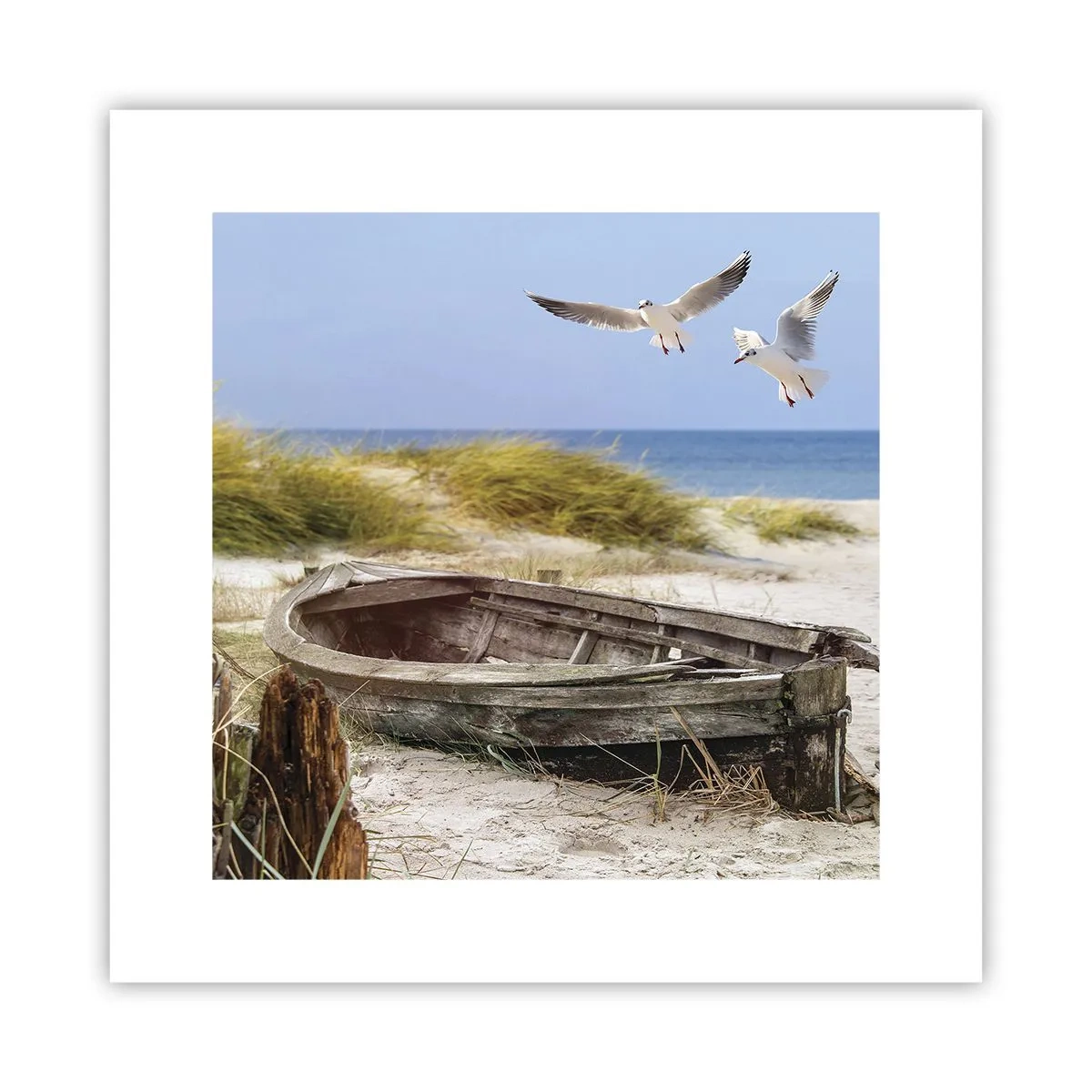 Poster - Bagnate dal vento - 30x30 cm