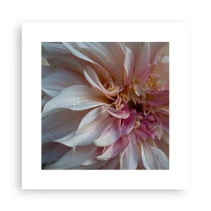 Poster - Freschezza in fiore - 30x30 cm