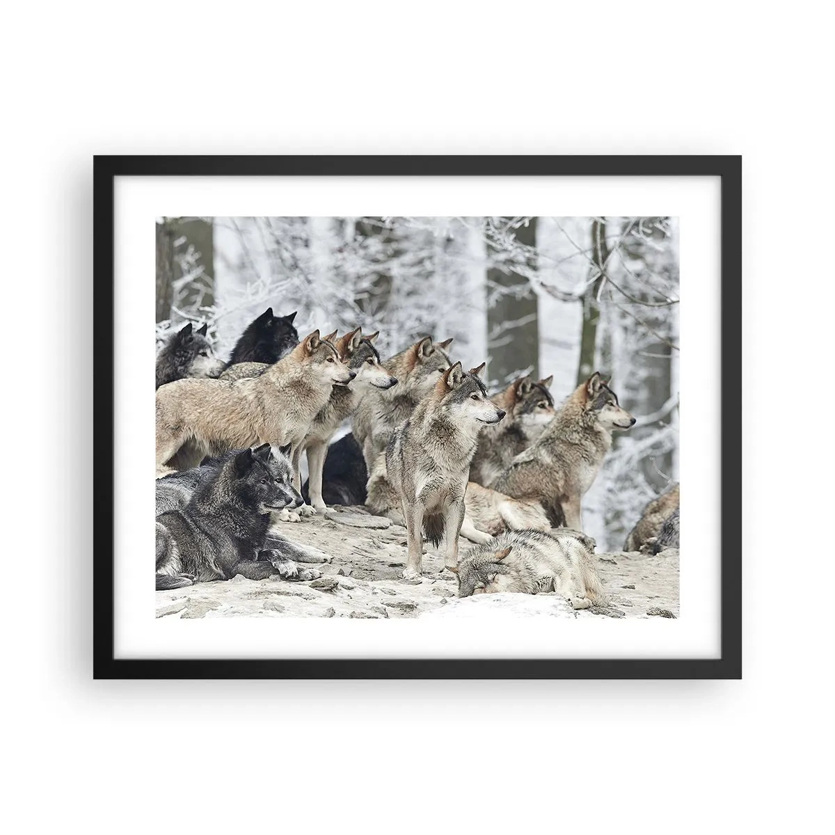 Poster in cornice nera - Famiglia e amici - 50x40 cm