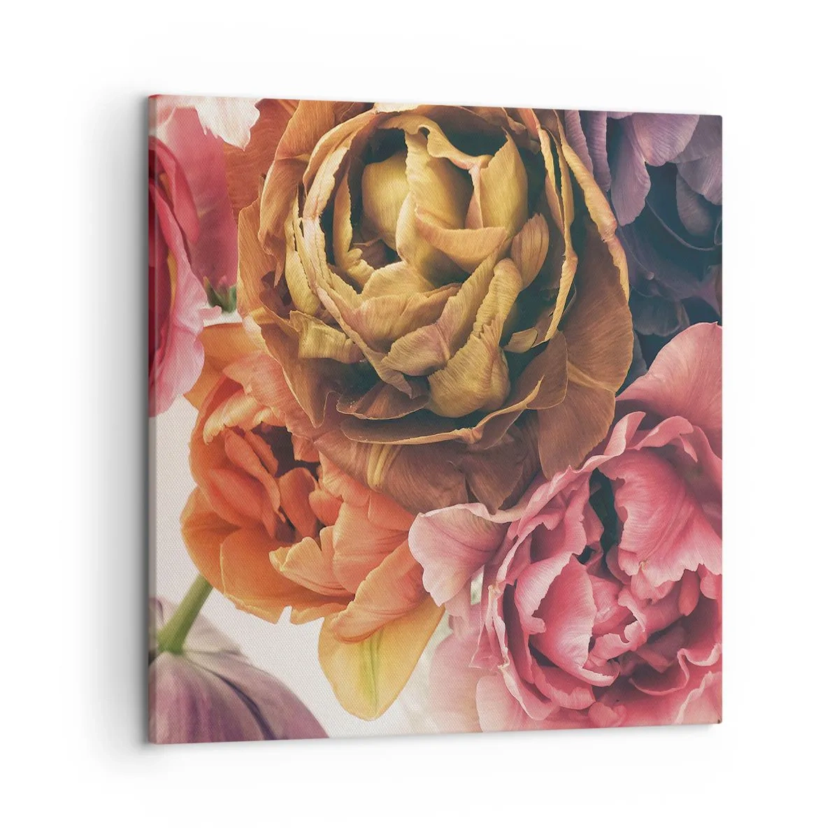 Quadro su tela - Stampe su Tela - La festa della vita - 50x50 cm