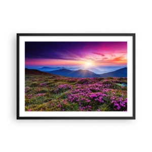 Poster in cornice nera - Prato di montagna con fiori al tramonto - 70x50cm - Il profumo dei fiori freschi del campo - Decorazione murale moderna per soggiorno e camera da letto ARTTOR