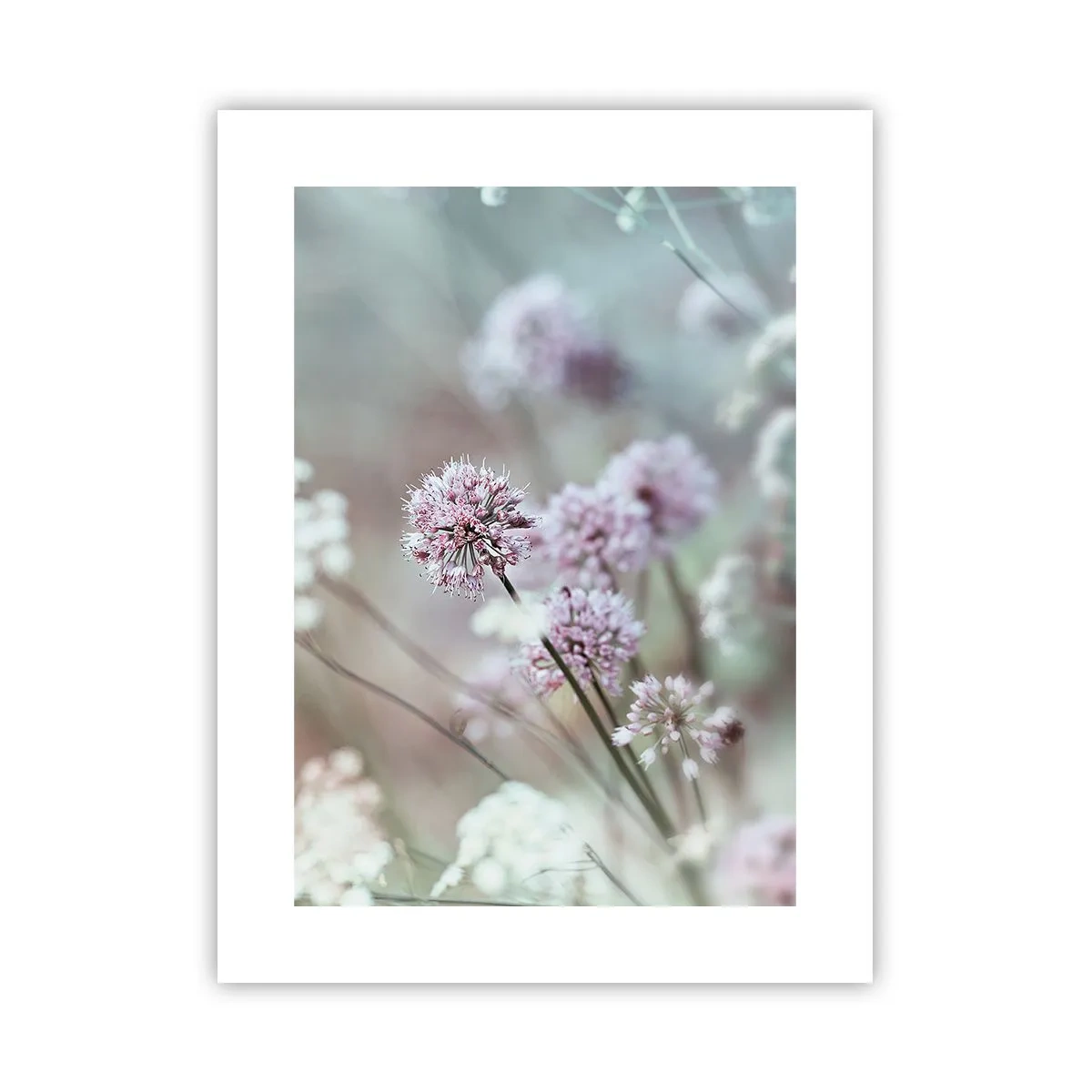 Poster - Le dolci filigrane delle erbe - 30x40 cm