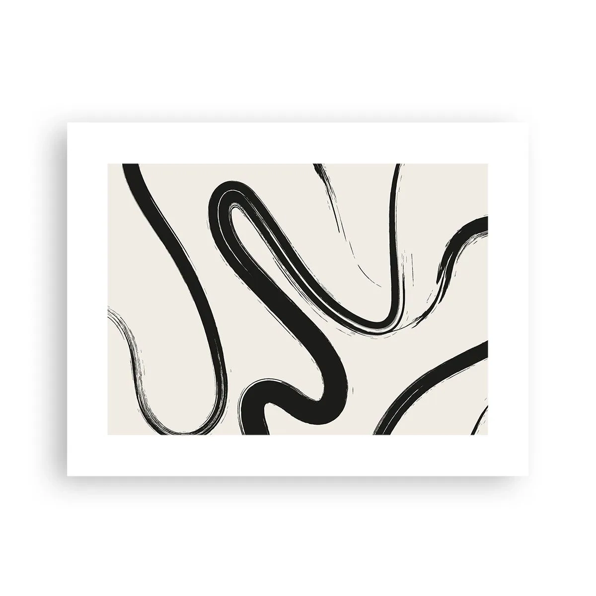 Poster - Capriccio bianco e nero - 40x30 cm
