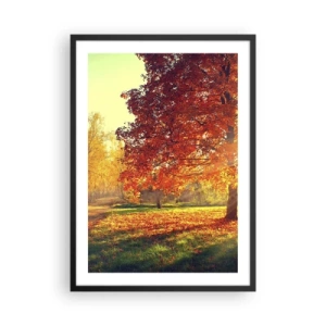Poster in cornice nera - Parco autunnale con un albero con foglie dorate al sole - 50x70cm - Rosso è bello - Decorazione murale moderna per soggiorno e camera da letto ARTTOR