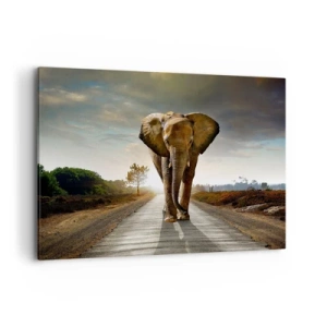 Quadro su tela - Stampe su Tela - Un elefante che cammina lungo una strada attraverso un paesaggio al tramonto - 100x70cm - E non nel negozio di cristalli - Decorazione murale moderna per soggiorno e camera da letto ARTTOR