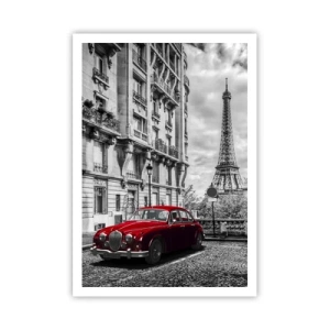 Poster - Predatore in città - 70x100 cm