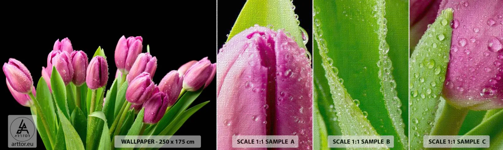 Campione di Fotomurale Premium Canvas - Gioia lilla della primavera - Fiori, Tulipani, Mazzo di fiori - 100x30 cm