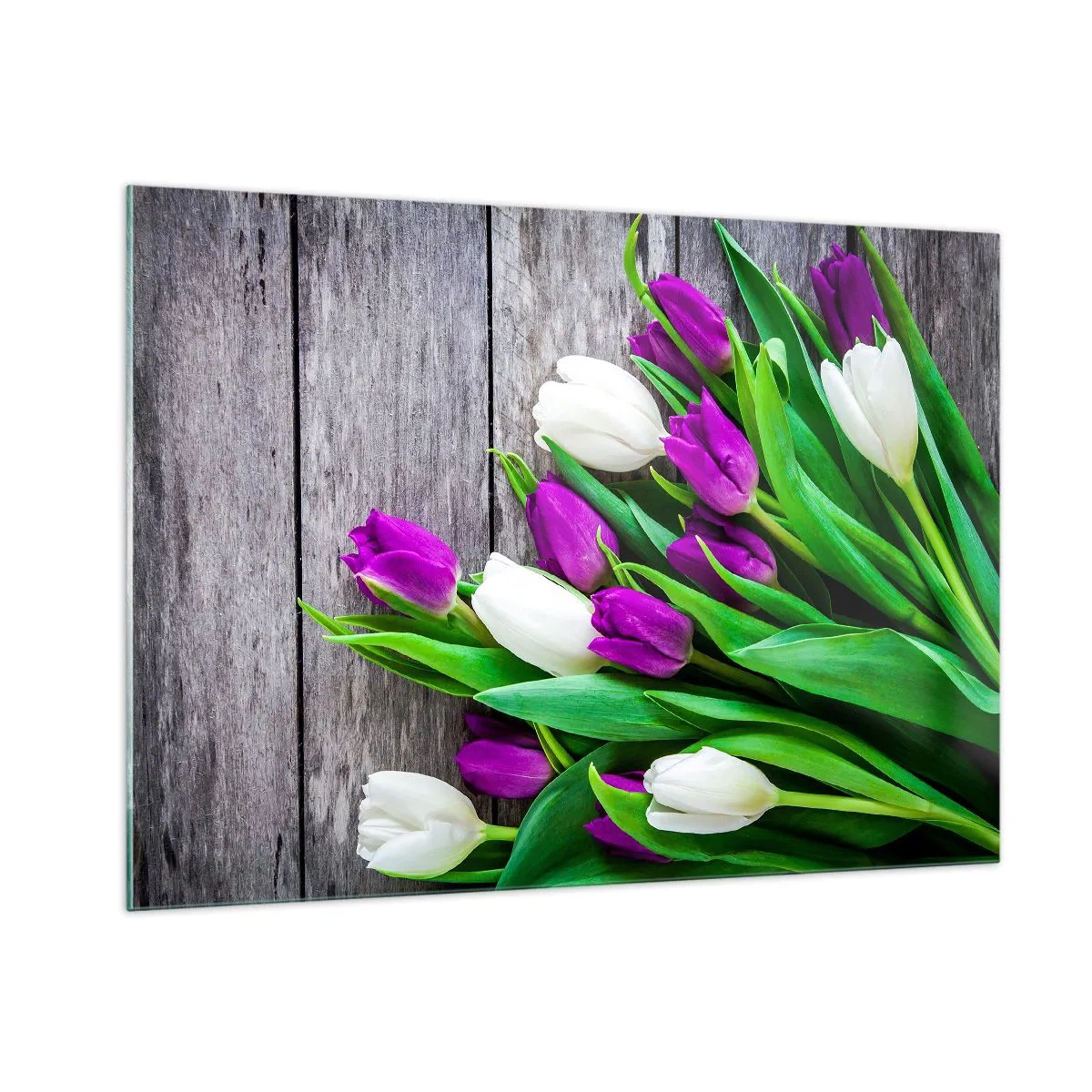 Quadro su vetro - Un bouquet di tulipani viola e bianchi su uno sfondo di legno - 100x70cm - Nella festa della primavera - Decorazione murale moderna per soggiorno e camera da letto ARTTOR