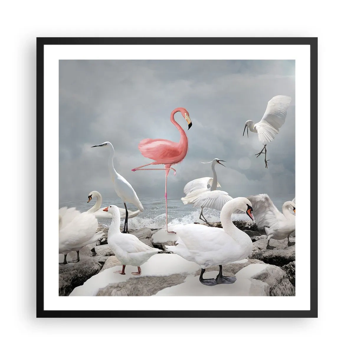 Poster in cornice nera - Come sono arrivato qui? - 60x60 cm