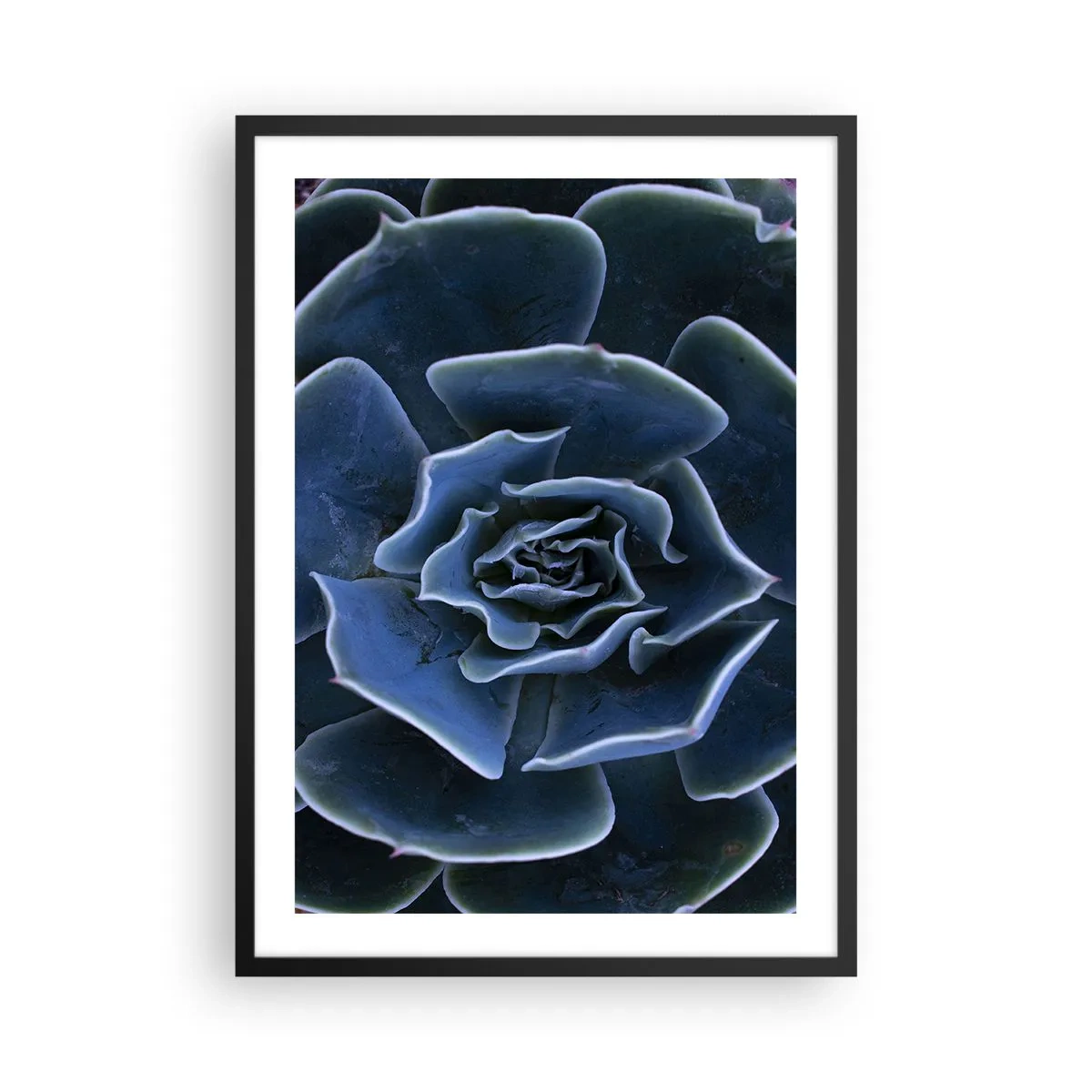 Poster in cornice nera - Primo piano artistico di un motivo geometrico succulento - 50x70cm - Fiore del deserto - Decorazione murale moderna per soggiorno e camera da letto ARTTOR