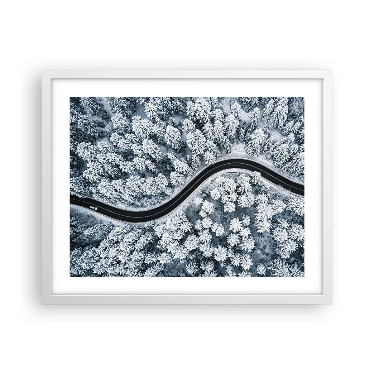 Poster in cornice bianca - Attraverso il bosco invernale - 50x40 cm