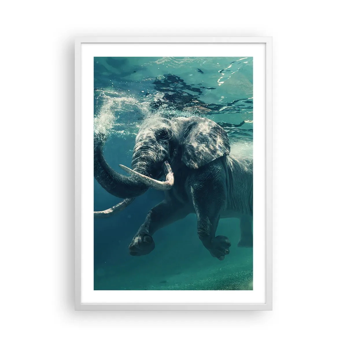 Poster in cornice bianca - Tutti amano nuotare - 50x70 cm