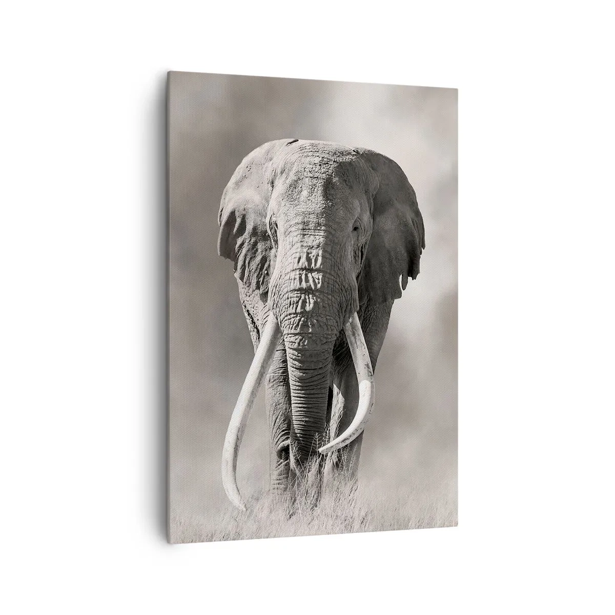 Quadro su tela - Stampe su Tela - Patriarca africano - 70x100 cm