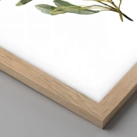 Rovere chiaro