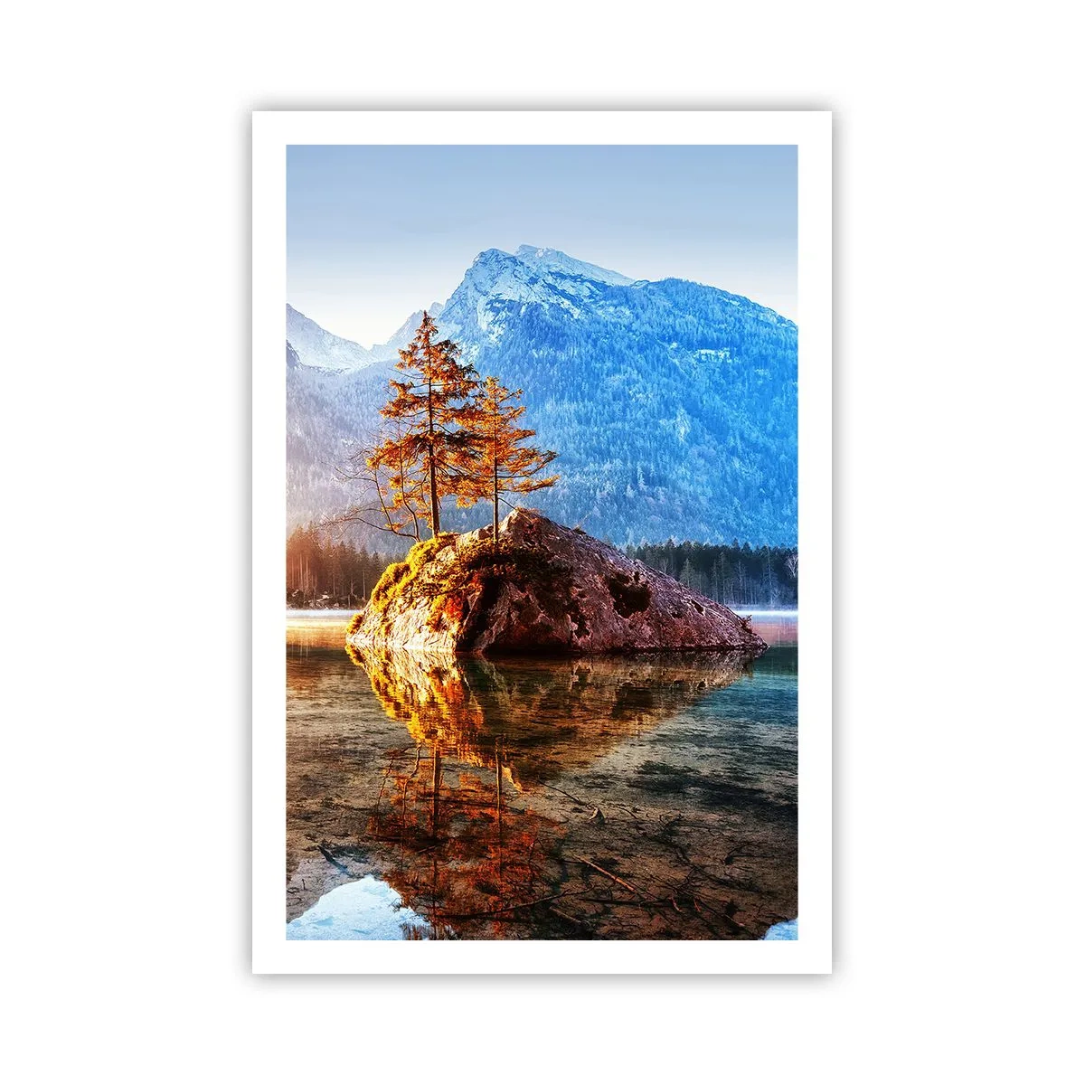 Poster - La natura in una nuova luce - 61x91 cm