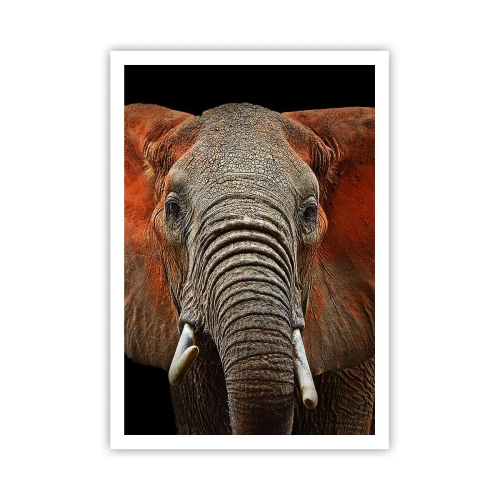 Poster - Sono selvaggio e tu? - 70x100 cm