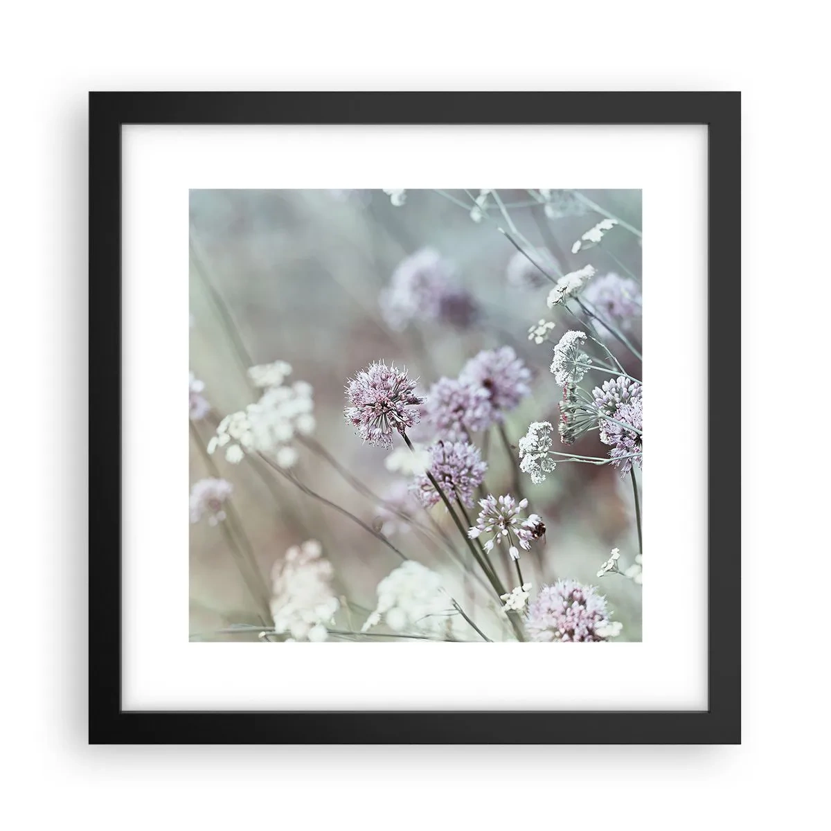 Poster in cornice nera - Le dolci filigrane delle erbe - 30x30 cm