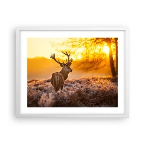 Poster in cornice bianca - Il re del bosco estivo - 50x40 cm