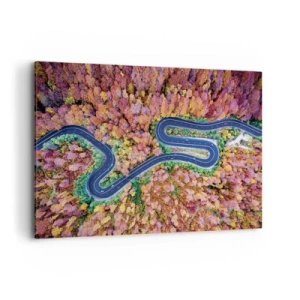 Quadro su tela - Stampe su Tela - Una strada tortuosa in una foresta autunnale vista a volo d'uccello - 120x80cm - Via tortuosa attraverso il bosco - Decorazione murale moderna per soggiorno e camera da letto ARTTOR