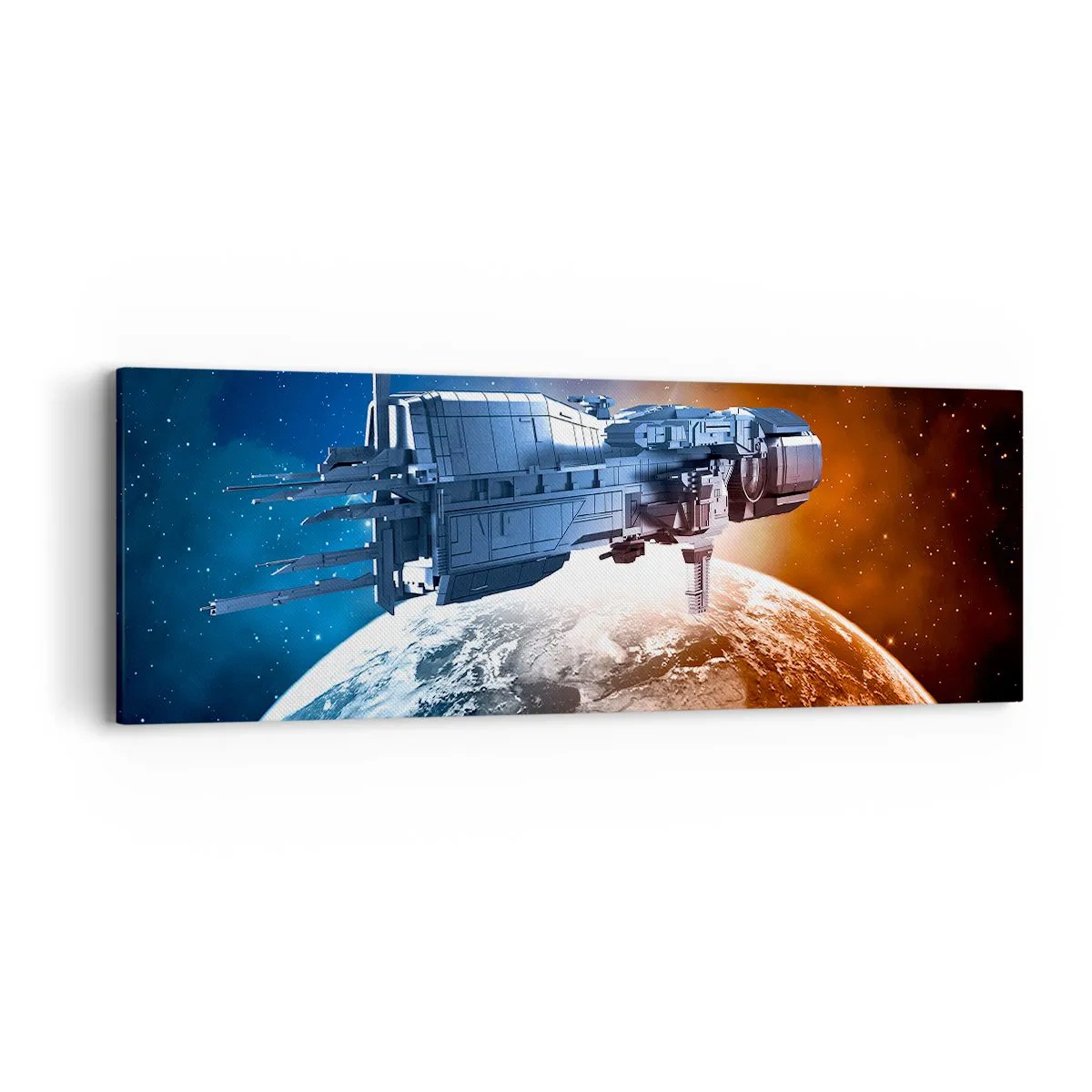 Quadro su tela - Stampe su Tela - Un attento osservatore - 90x30 cm