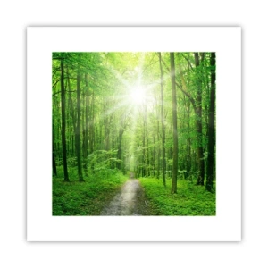 Poster - Cattedrale verde - 30x30 cm