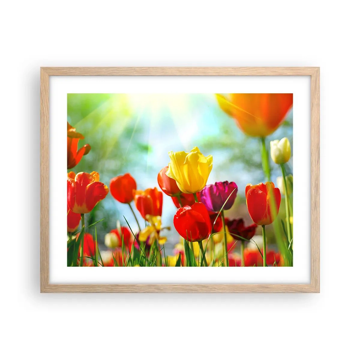 Poster in cornice rovere chiaro - Tutti i colori del sole - 50x40 cm