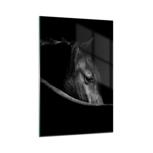 Quadro su vetro - Ritratto in bianco e nero di un cavallo con un sottile gioco di luci e ombre su uno sfondo scuro. - 70x100cm - Il principe nero - Decorazione murale moderna per soggiorno e camera da letto ARTTOR