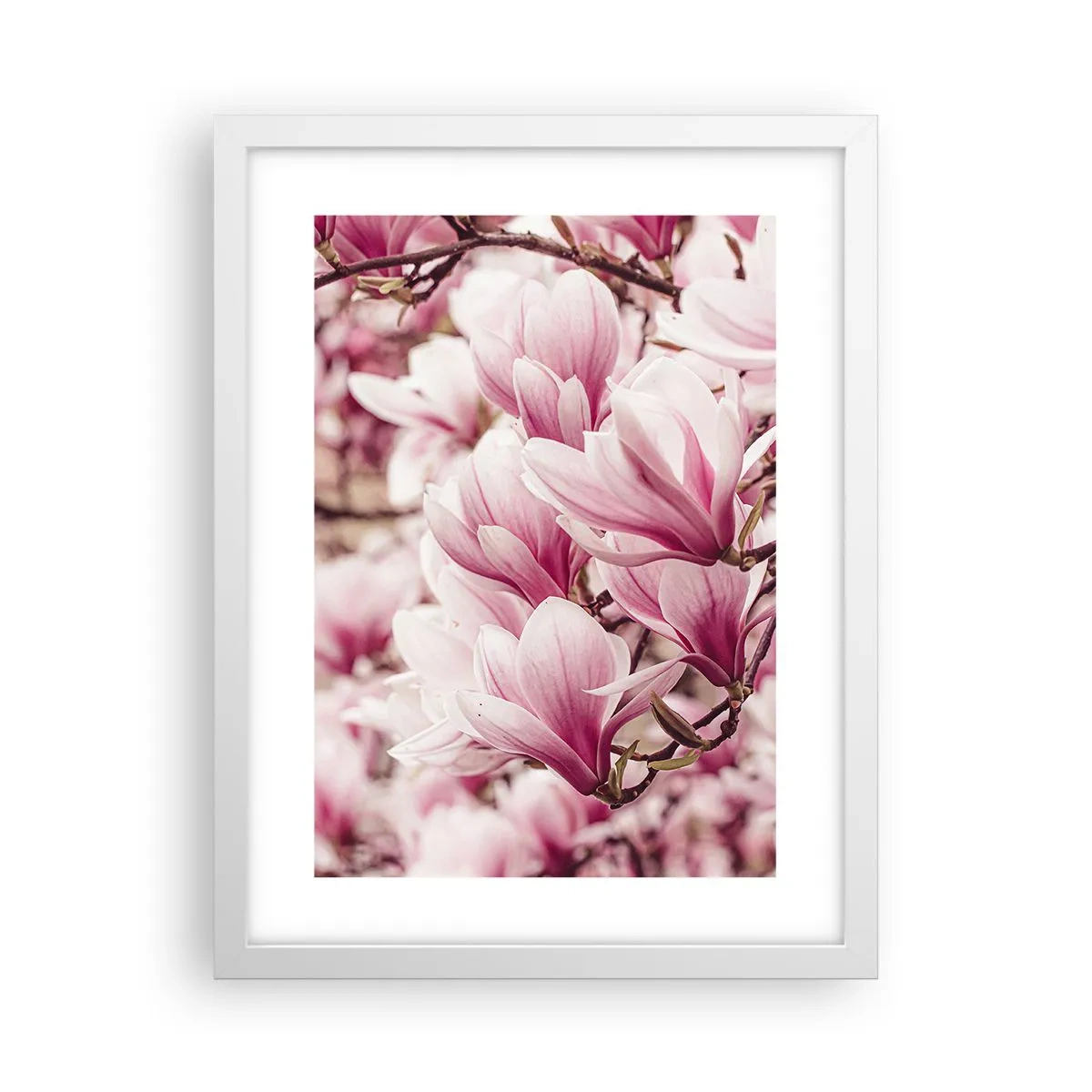 Poster in cornice bianca - La primavera è rosa - 30x40 cm