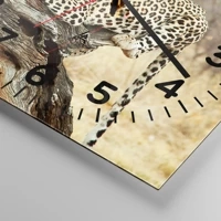 Quadrante con numeri