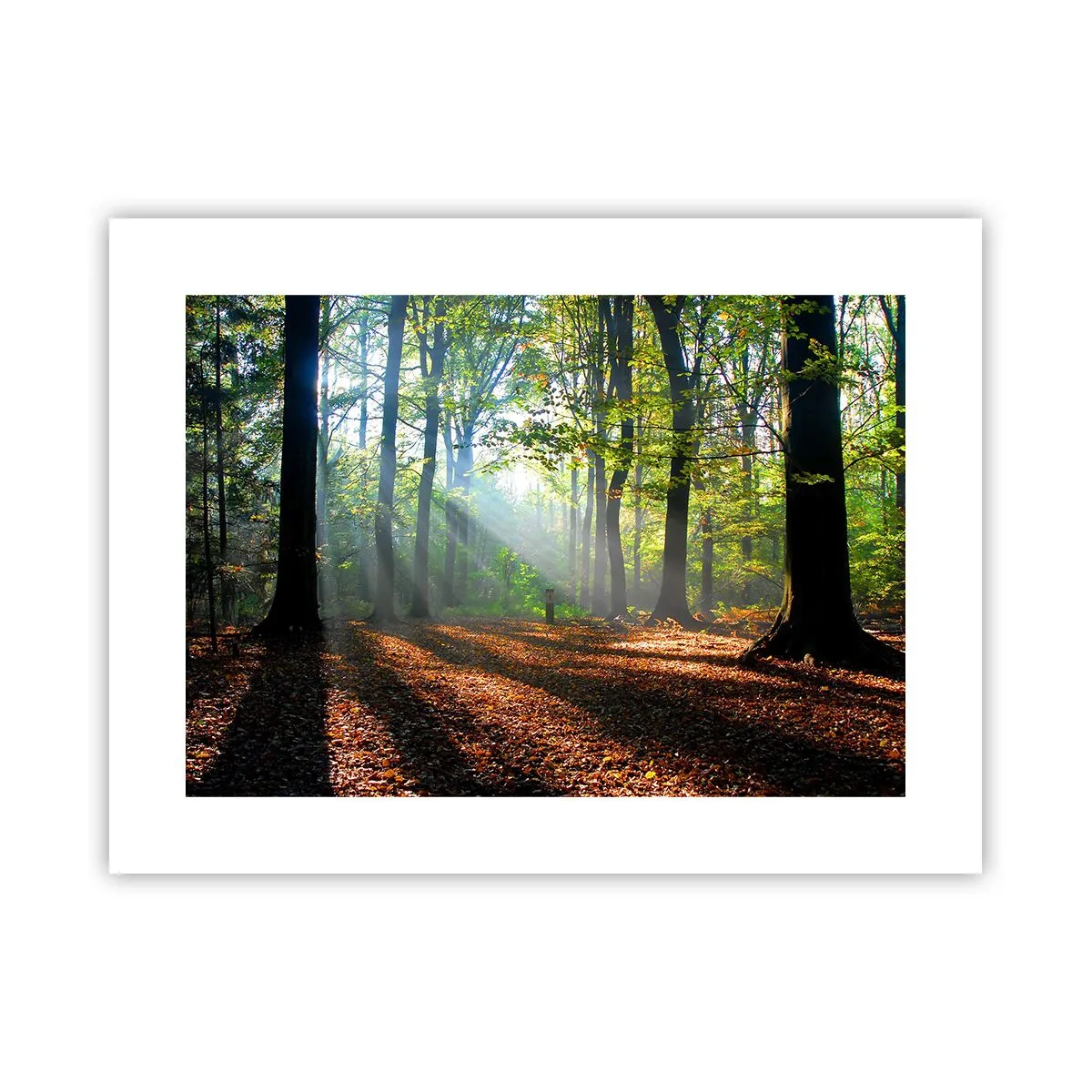 Poster - Luci e ombre - 40x30 cm