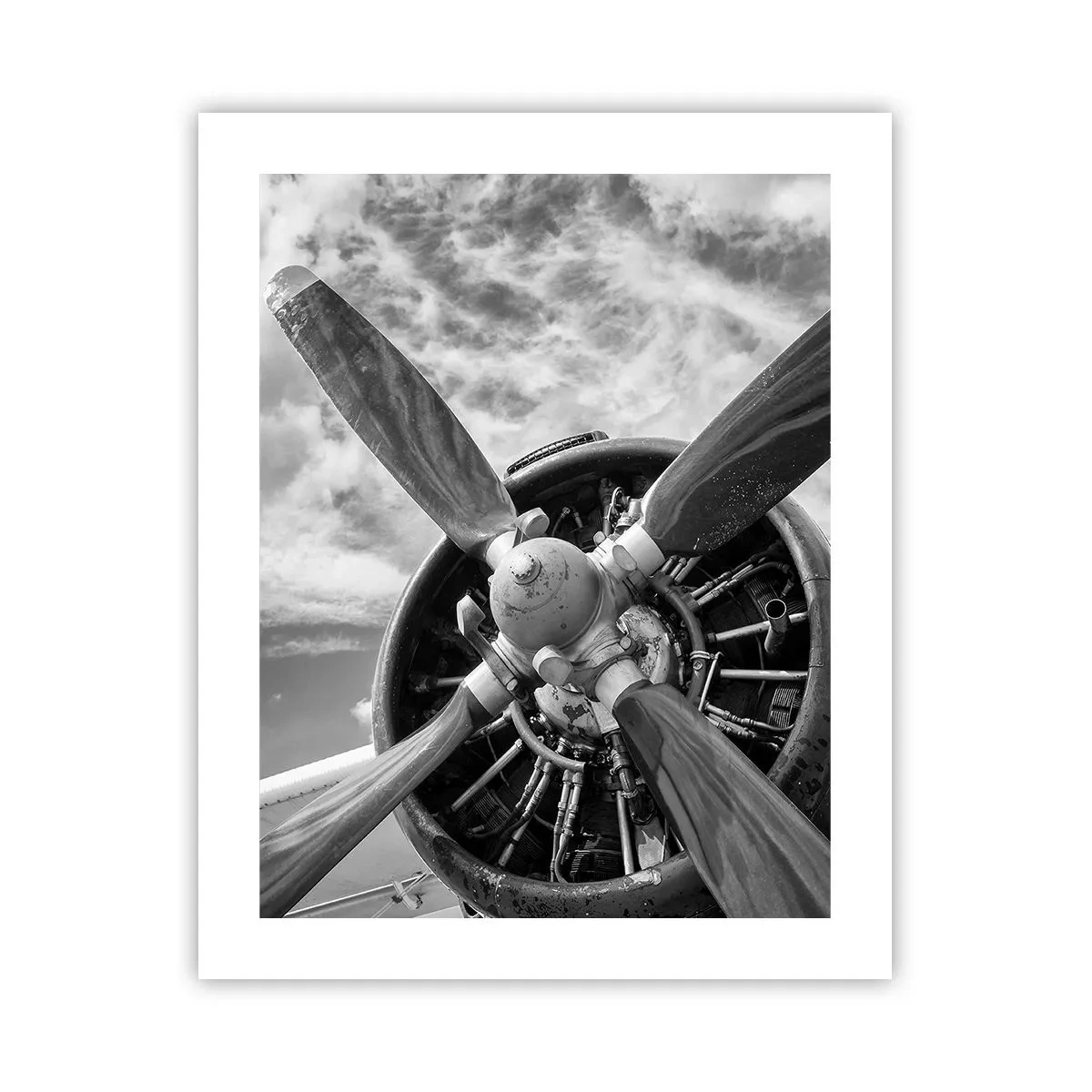 Poster - Il dominatore dell'aria - 40x50 cm